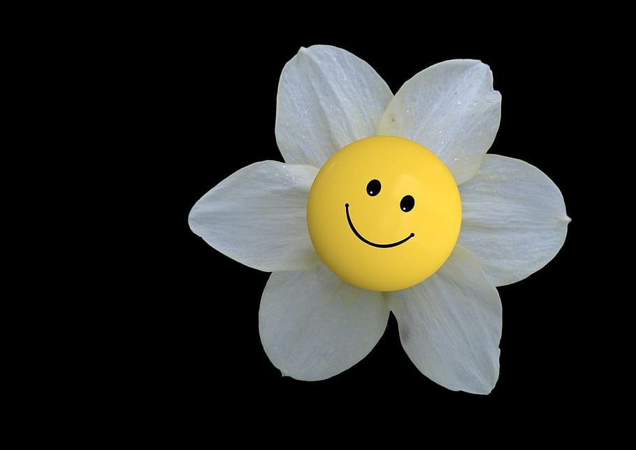 blossom-bloom-flower-smiley.jpg