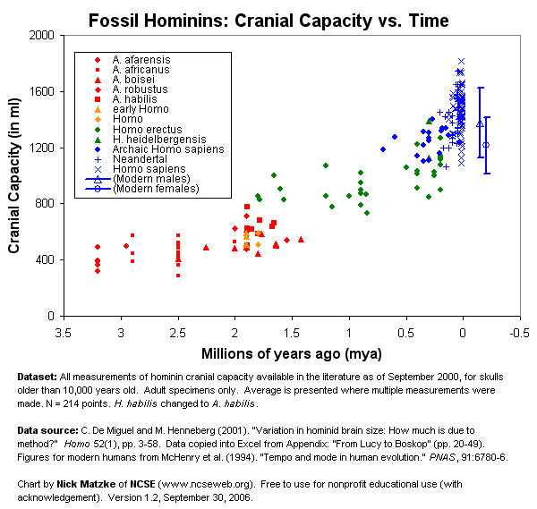 fossil_hominin_cranial_capacity_lg_v1-2.png