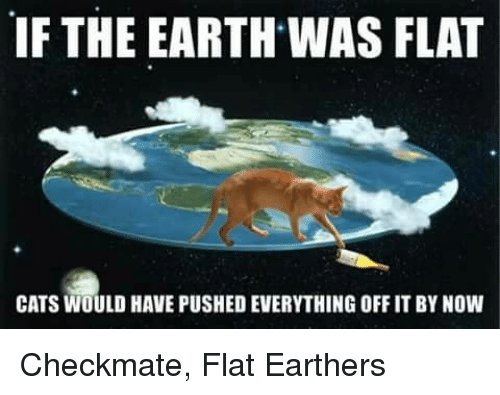 if-the-earth-was-flat-cats-would-have-pushed-everything-21424991.png