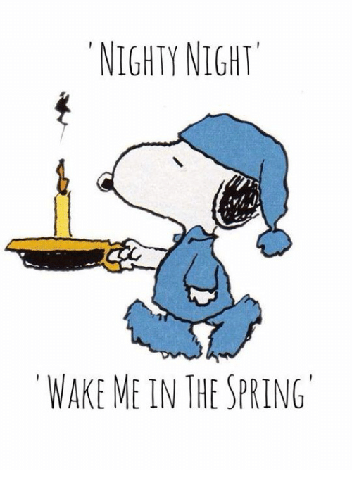 nighty-night-wake-me-in-the-spring-13522656.png