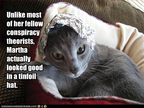 tinfoil-cat.jpg