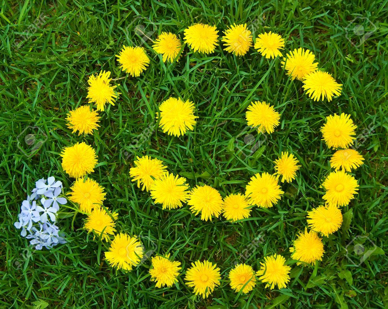 8064501-meadow-with-smiley-face-of-yellow-dandelions.jpg