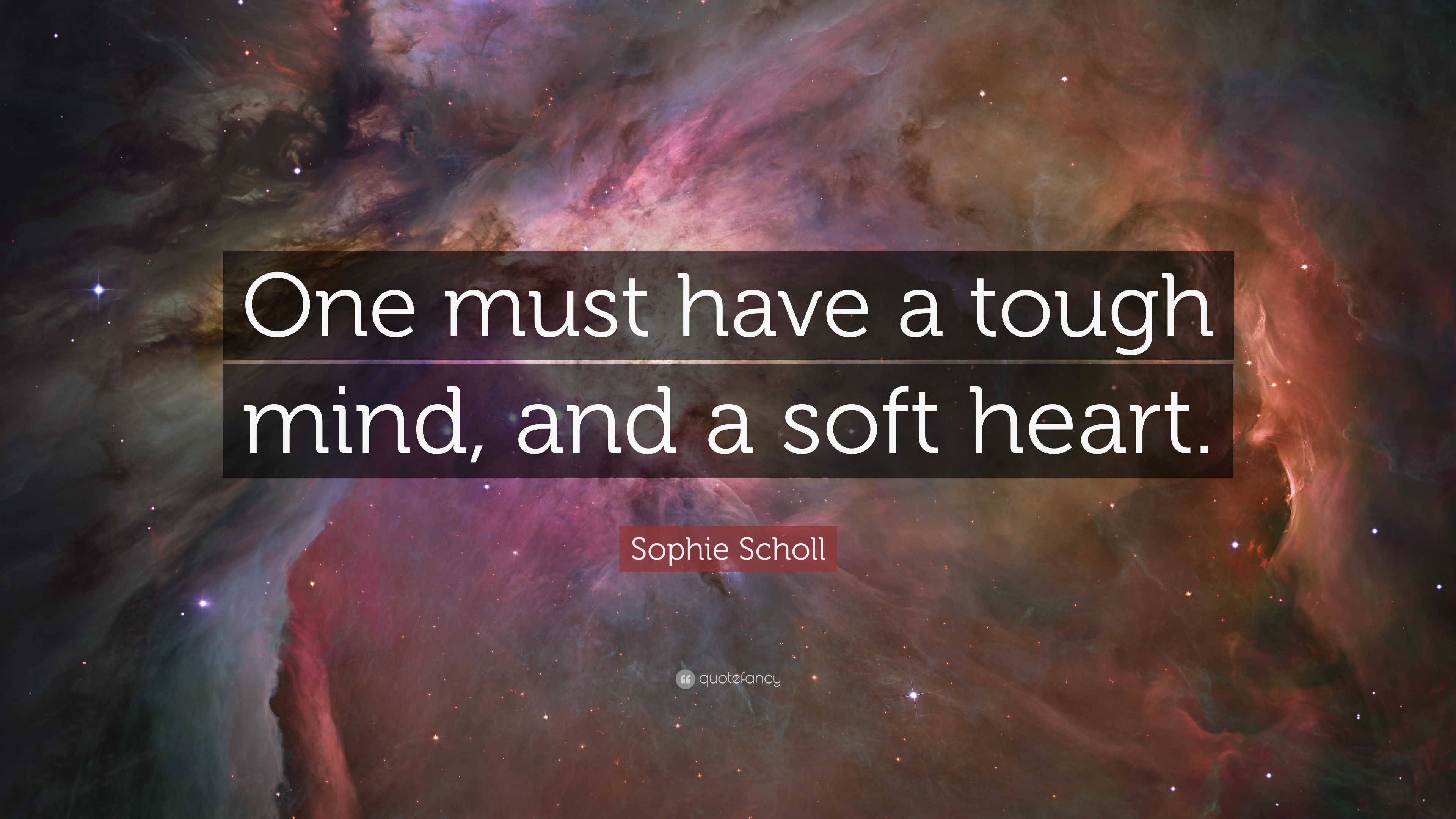 4782135-Sophie-Scholl-Quote-One-must-have-a-tough-mind-and-a-soft-heart.jpg