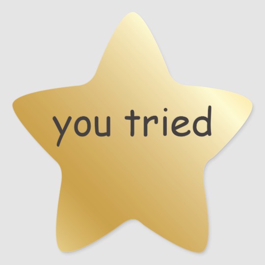 you_tried_gold_star_sticker-rb3d05b51bcb64c76a563f1169e546eb3_0ugdr_8byvr_540.jpg