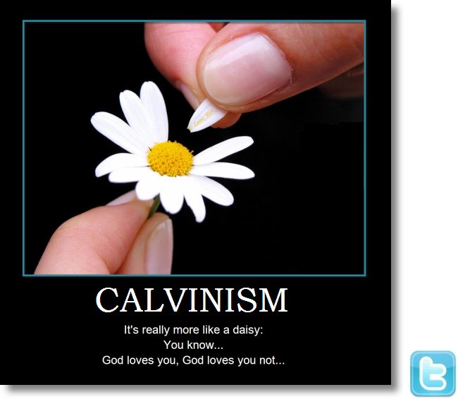 7334efa092aab5541c660b24c9e14e9f--tulip-calvinism-daisies.jpg