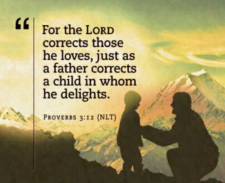 b1c54fe6e19c9053986d1c721c14a6c4--correct-bible-proverbs.jpg