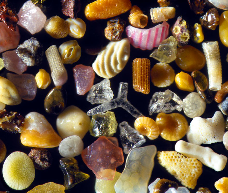 sand-grains-under-microscope-gary-greenberg-4.jpg