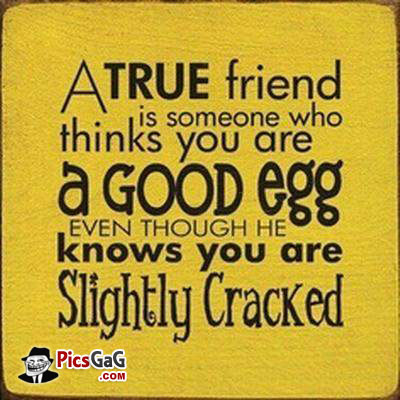 silly-friends-quotes.jpg