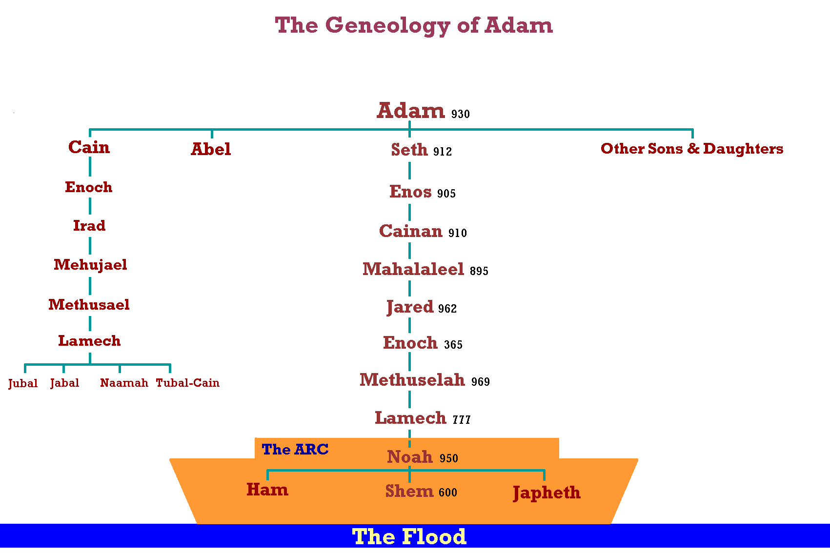 Geneology_adam.gif