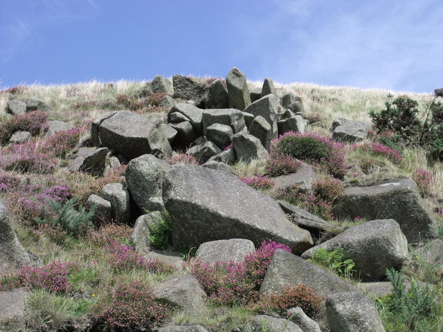 A_myriad_of_random_stones_by_Mother_Nature._-_geograph.org.uk_-_1464264.jpg