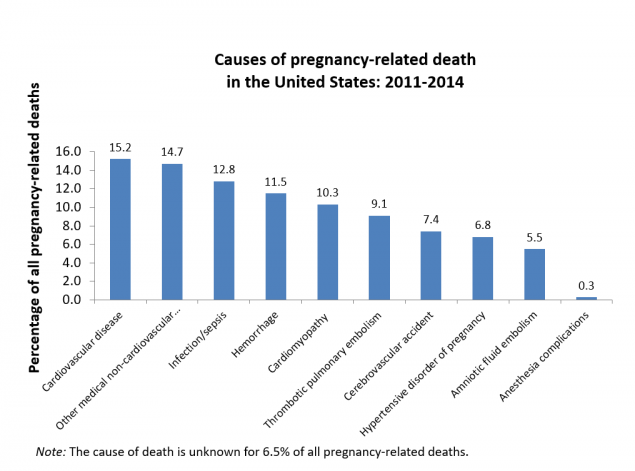 Causes-pregnancy-related-death-2017_600px_1-medium.png