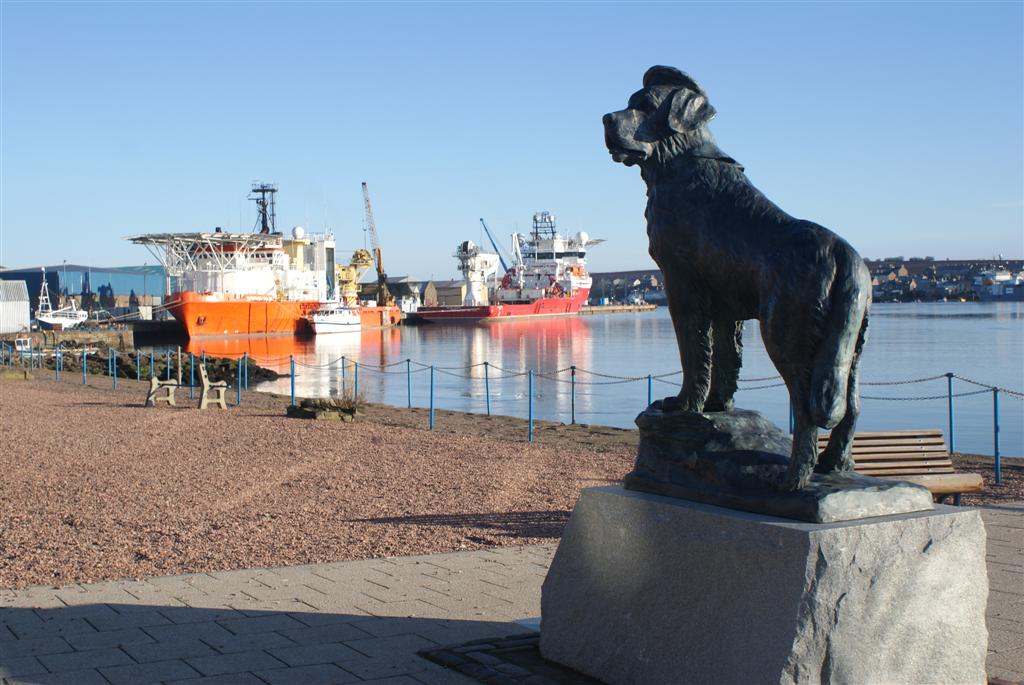 Bamse_-_geograph.org.uk_-_1721496.jpg