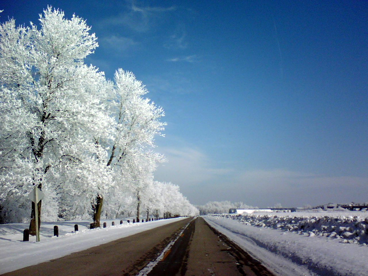 Air_Hoar_Frost_2008-02-07.jpg