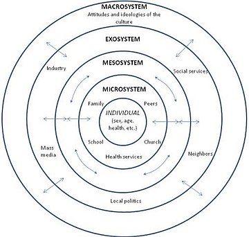 360px-Bronfenbrenner's_Ecological_Theory_of_Development_(English).jpg