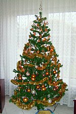 150px-Christmas_tree_in_Poland_2004.jpg