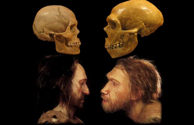 5a9346048a8346000119f054_top-10-interesting-theories-about-cavemen.jpg