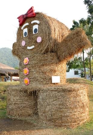 33910940-the-strawman-doll-in-thailand-countryside-view.jpg