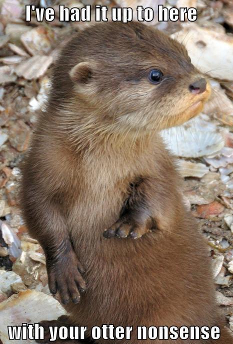 Funny-Nonsense-Meme-I-Have-Had-It-Up-To-Here-With-Your-Otter-Nonsense-Picture.jpg