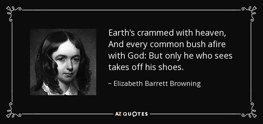 quote-earth-s-crammed-with-heaven-and-every-common-bush-afire-with-god-but-only-he-who-sees-elizabeth-barrett-browning-3-88-46.jpg