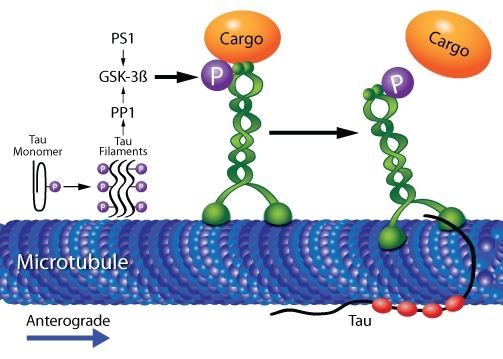 6-16-newsletter-diagram-2.png