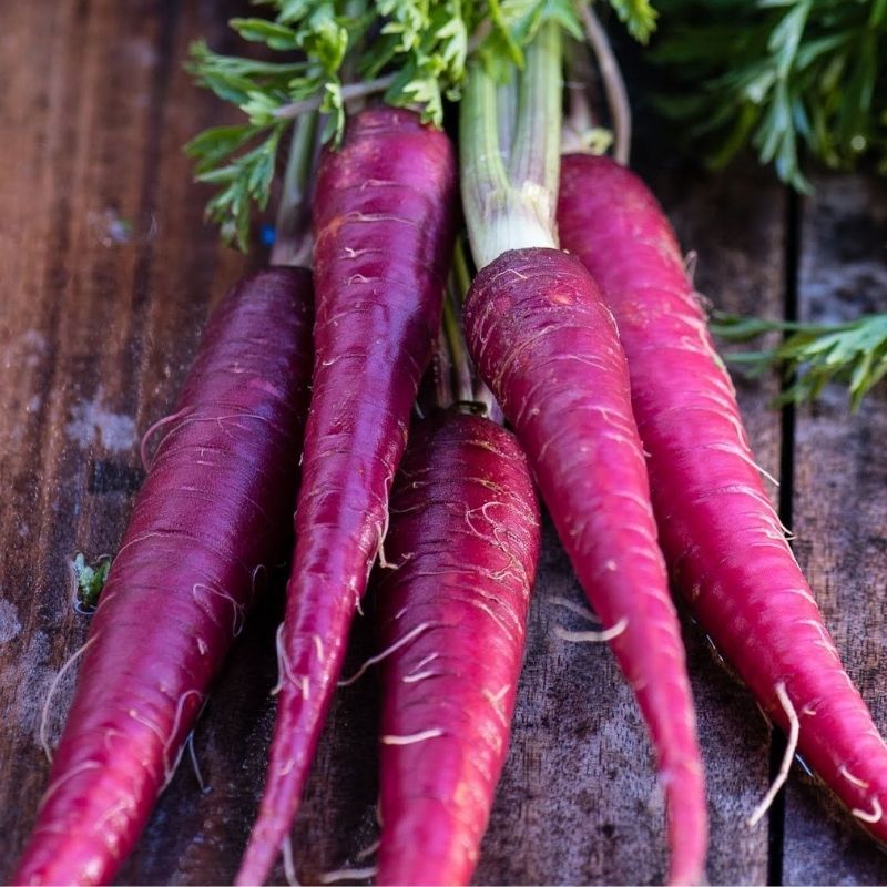 Organic-Cosmic-Purple-Carrot.jpg