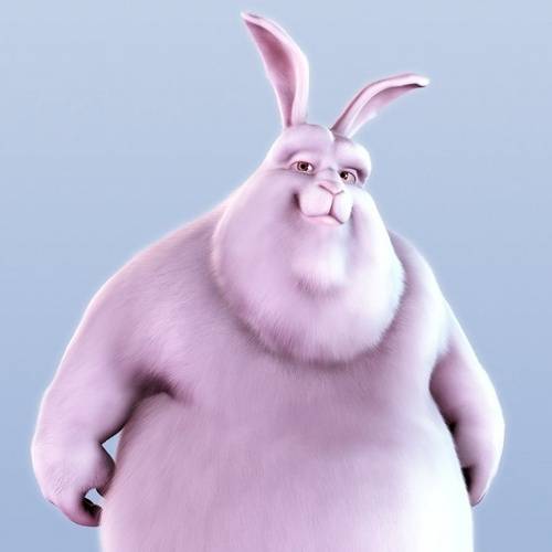 fat-bunny1.jpeg