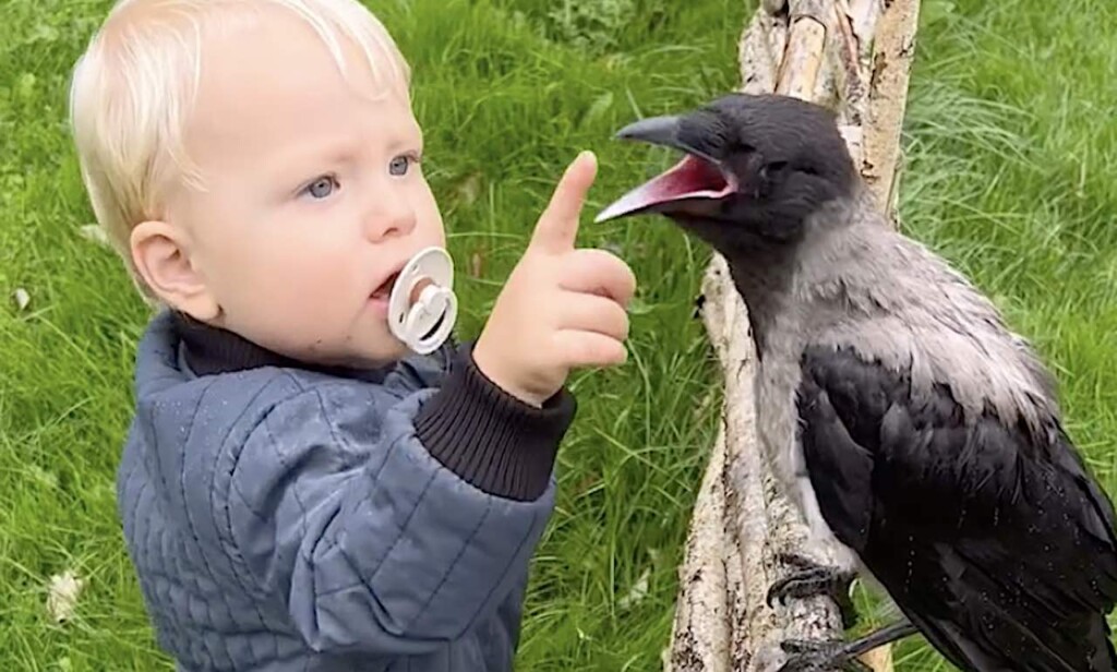Son-Otto-with-Russell-the-crow-courtesy-laerke_luna-IG-bluebubblyballoon-1024x616.jpg