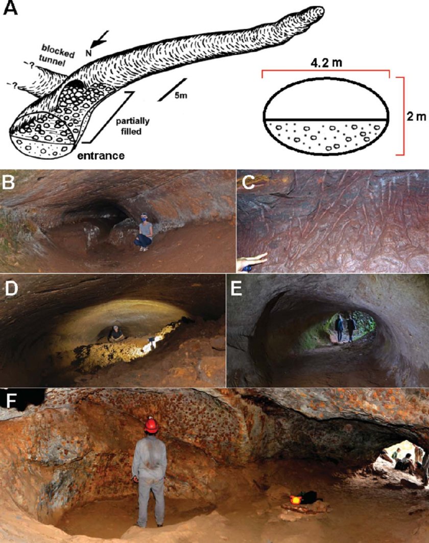 Schematics-of-the-type-specimen-of-Megaichnus-major-modified-from-Frank-et-al-2013_W840.jpg