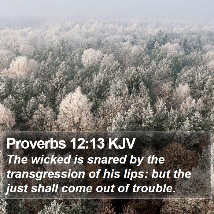 Proverbs-12-13-KJV-The-wicked-is-snared-by-the-transgression-of-his-I20012013-L01.jpg