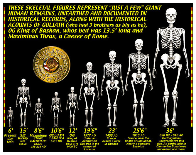 GIANT_SKELETONS_CHART.jpg