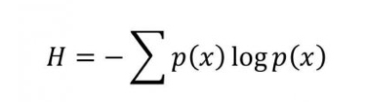 shannon_equation.jpg
